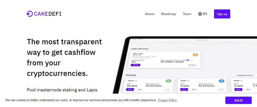 CakeDefi Exchange Review - Get Cashflow From your Cryptocurrencies