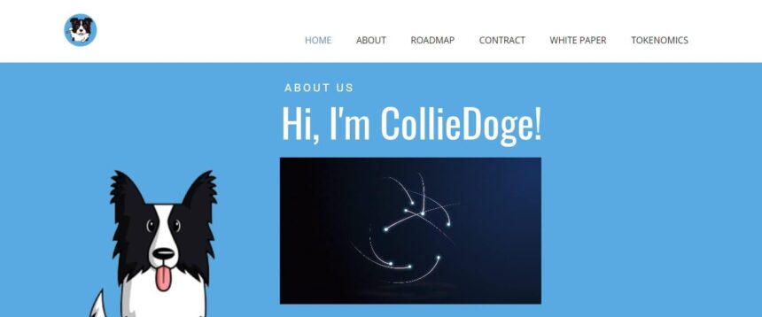 Colliedoge Finance Defi Review: Colliedoge Finance Is Safe & Secure Defi