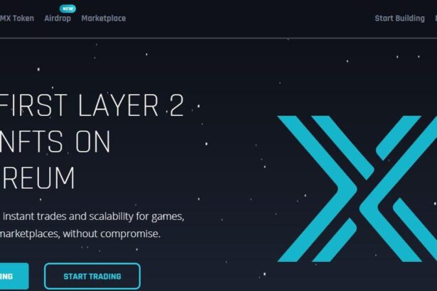 Immutable X Airdrop Review: Instant Trades and Scalability for Games