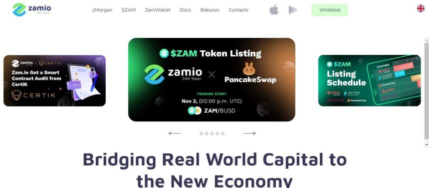 Zam Ico Review: Bridging Real World Capital to the New Economyv