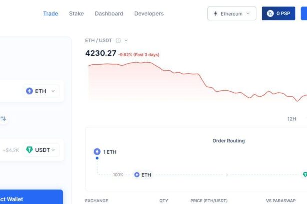 ParaSwap Airdrop Review: There is No Extra Markup