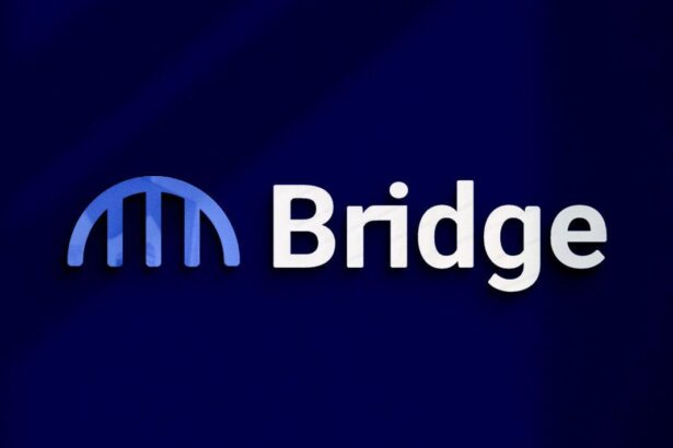 Bridge Network raises $3.8M to build better cross-chain experiences with backing from FTX Ventures