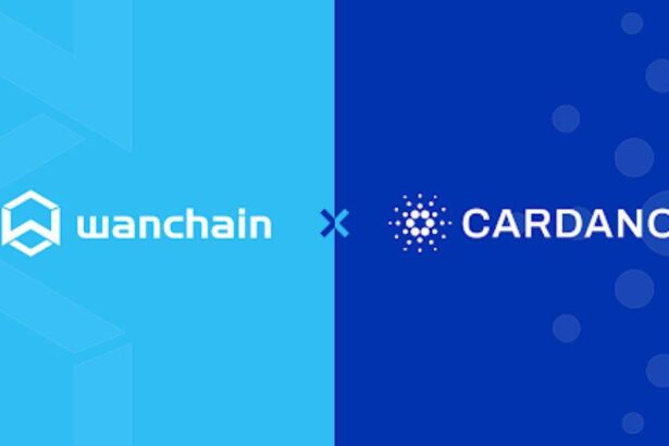 cardanowanchain 16510600019Jk7B8aG5f