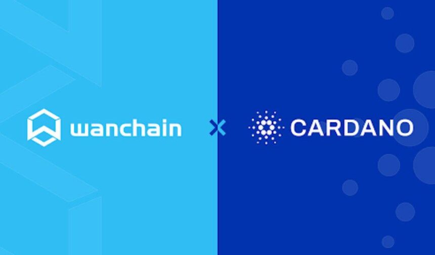 cardanowanchain 16510600019Jk7B8aG5f