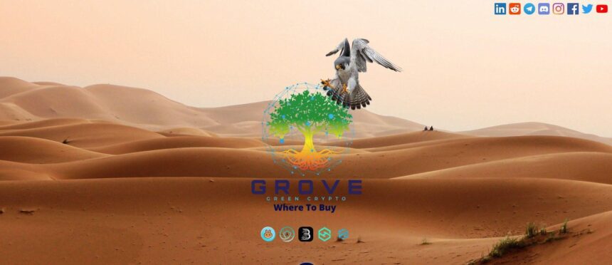 What Is Grove (GVR)? Complete Guide & Review About Grove?