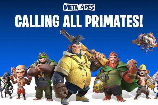 Meta Apes Launches on BNB Application Sidechain to Give Gamers the Best of Both Web2 and Web3 Gaming