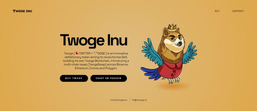 What Is Twoge Inu(TWOGE)? Complete Guide & Review About Twoge Inu