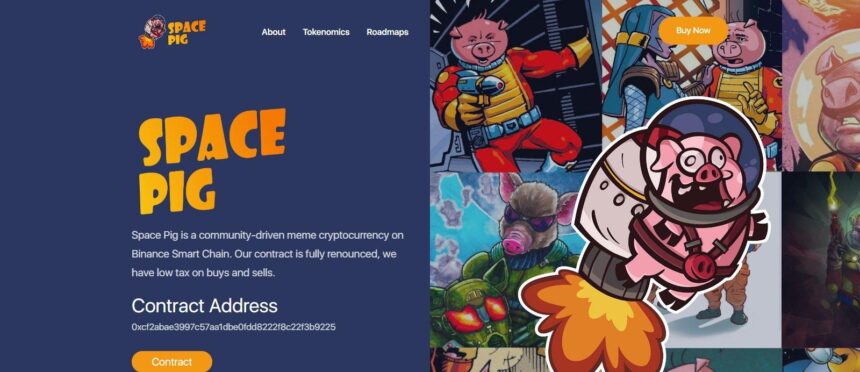 What Is Space Pig Coin(SPACEPIG)? Complete Guide & Review About Space Pig Coin