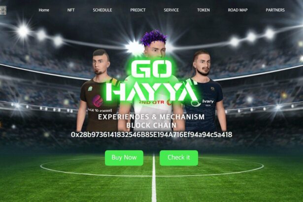 What Is GO HAYYA(HAYYA)? Complete Guide & Review About FXG