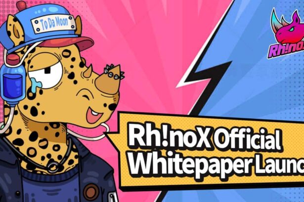 BinaryX Releases RhinoX Whitepaper Detailing New Key Features of its Ecosystem