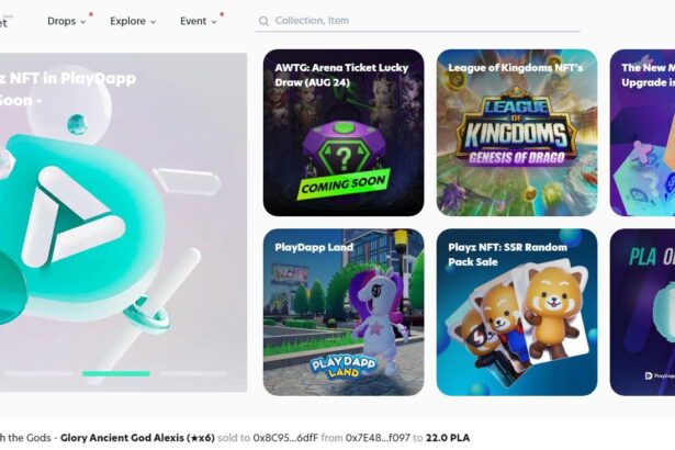 PlayDapp Airdrop Review : Selected to Win a PLAYZ R-Grade NFT.