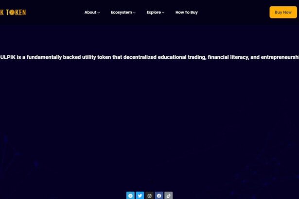 What Is Boulpik Token(BOULPIK)? Complete Guide & Review About Boulpik Token