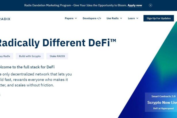 Radix Defi Coins Review - A Detailed Review About Radix