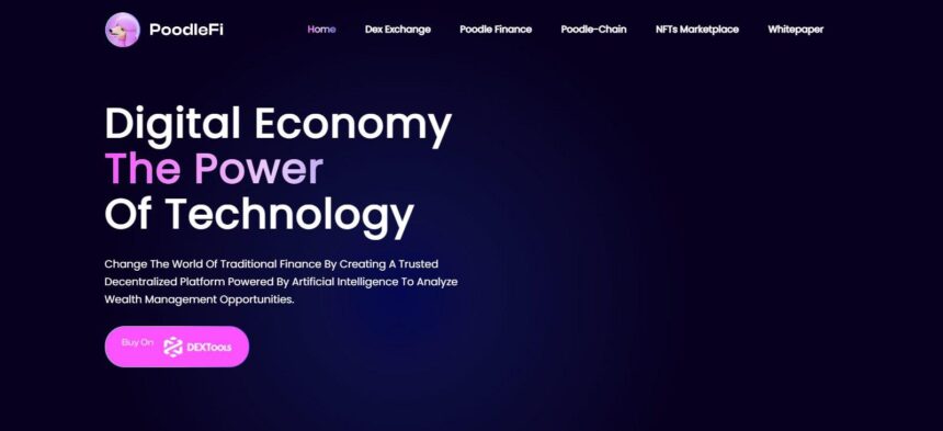 What Is PoodleFi (PFI)? Complete Guide & Review About PoodleFi