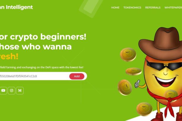 What Is MangoMan Intelligent (MMIT)? Complete Guide & Review About MangoMan Intelligent
