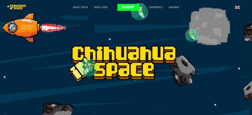 What Is Chihuahua In Space (CIS)? Complete Guide & Review About Chihuahua In Space