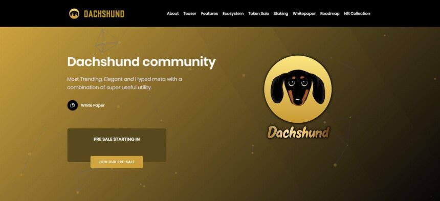 What Is Dachshund (DSD)? Complete Guide & Review About Dachshund