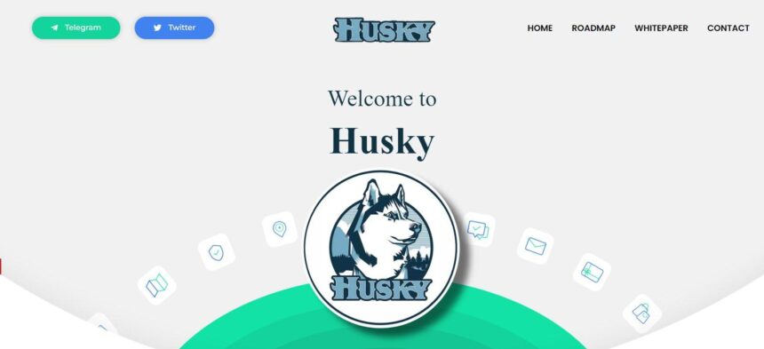 What Is Husky (HUSKY)? Complete Guide & Review About Husky