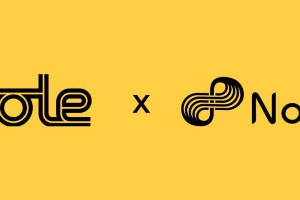 Roole Locates Stolen Vehicles Globally via Nodle Network’s On-Chain Services