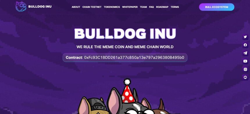 What Is BullDog Inu(ING)? Complete Guide & Review About BullDog Inu