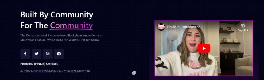 Pinkie Inu Coin (PINKIE) Coin Guide & Detailed Review