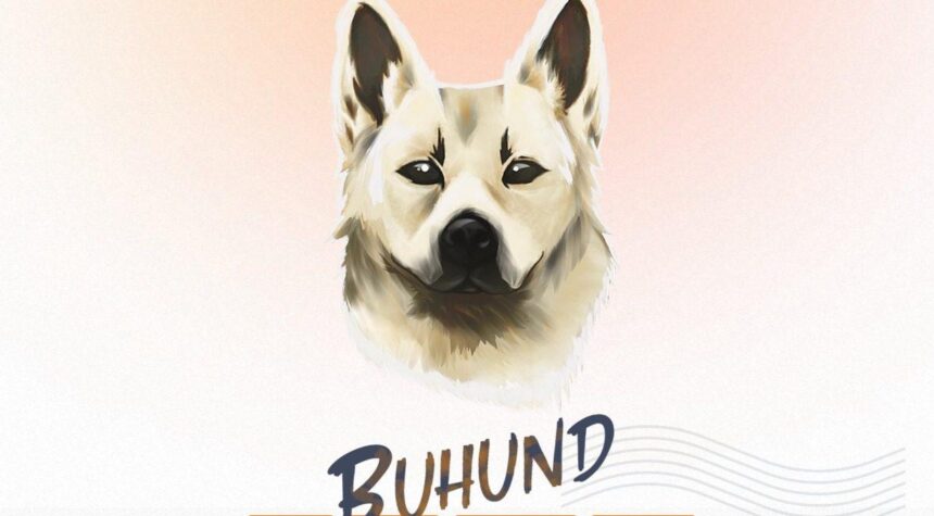 Buhund Coin Review : Is It Good Or Bad Coin Read Our Article