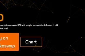 BAO Coin