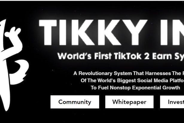 Tikky Inu Coin