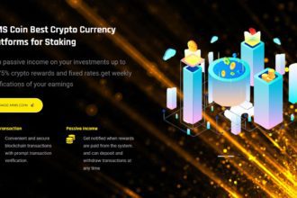 MMSC PLATFORM Coin