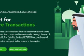 PalmPay Coin