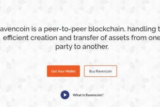 Ravencoin coin