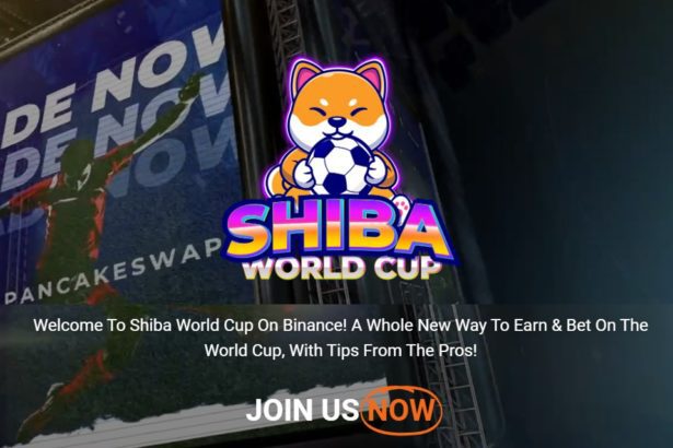 Shiba World Cup Coin