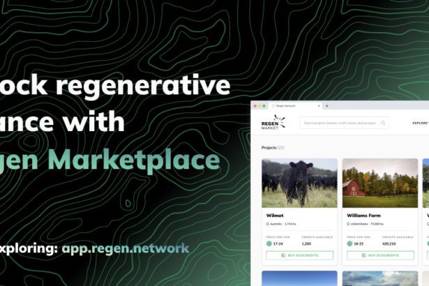 Carbon Offsetting for Blockchains & Beyond: Regen Network Launches Carbon Marketplace