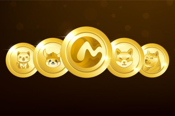 Inu & meme equivalent to Cleverminu token launched with 1 trillion IMO sale