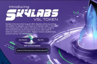 Vetter Skylabs Coin