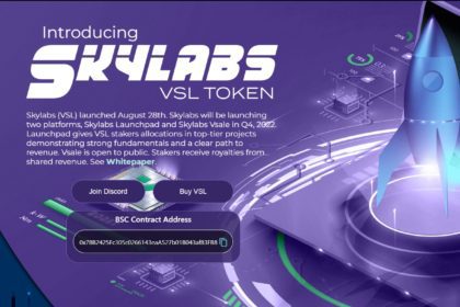 Vetter Skylabs Coin