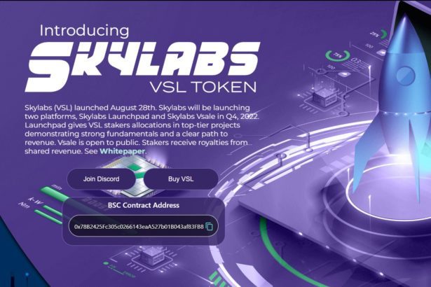 Vetter Skylabs Coin
