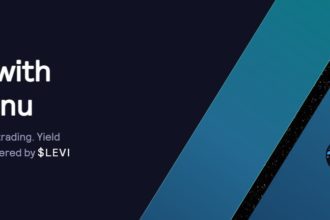LeverageInu Coin