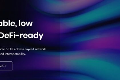 Echain Network Coin