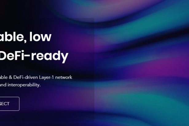 Echain Network Coin