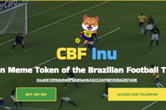 CBFINU Coin