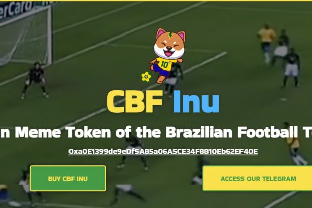 CBFINU Coin