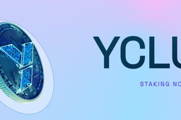 YCLUB Coin