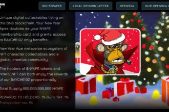 New Year Ape Coin Review : Is It Good Or Bad Coin Read Our Article