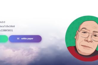 DYZilla Coin