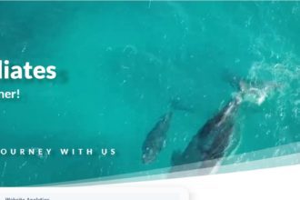 Whale Affiliate Program