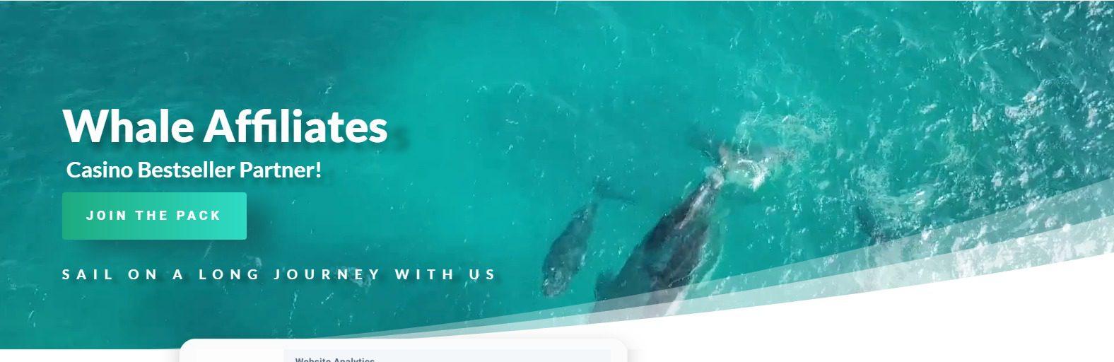 Whale Affiliate Program