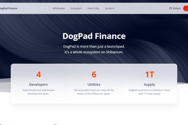 DogPad Finance Coin Review : Is It Good Or Bad Coin Read Our Article