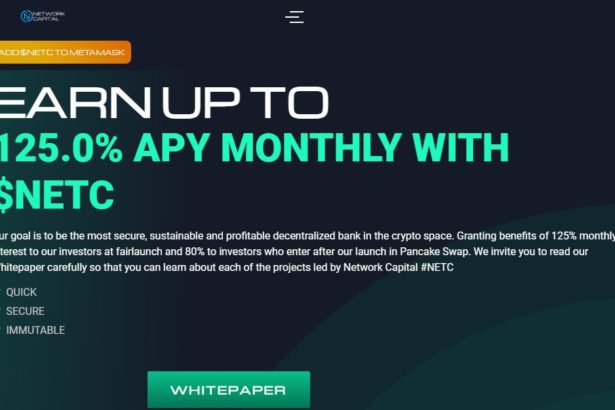 Network Capital Token Coin Review : Is It Good Or Bad Coin Read Our Article