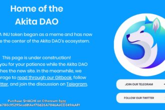 Akita DAO Coin